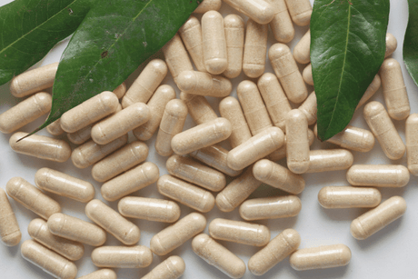 8 Bacopa Monnieri Benefits