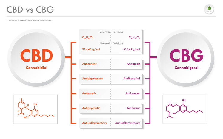 Move Over CBD: Cannabigerol Oil Is the Hot New Supplement